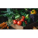 Test Perfil Vegetariano (Analiza falta de nutrientes con esa dieta)