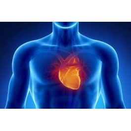 Test Thromboincode Hematología THROMBO