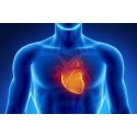 Test Thromboincode Hematología THROMBO
