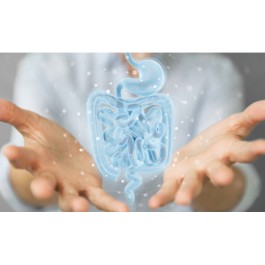 Test Estudio Funcional Microbioma intestinal