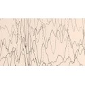 Test FG Neuro Epilepsia