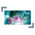 Test Exoma Completo Trio